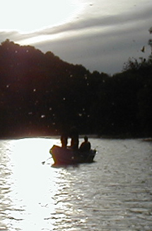 An Upper Delaware river brown trout comes to the net.